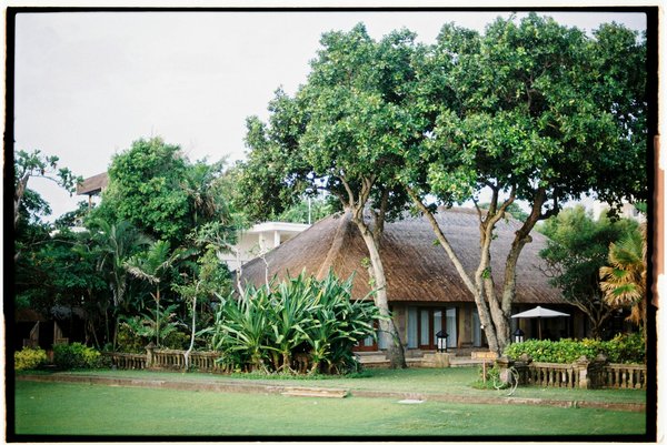Discover the Enduring Legacy of English Tea: A Local's Guide to Mastering London's Tea Traditions