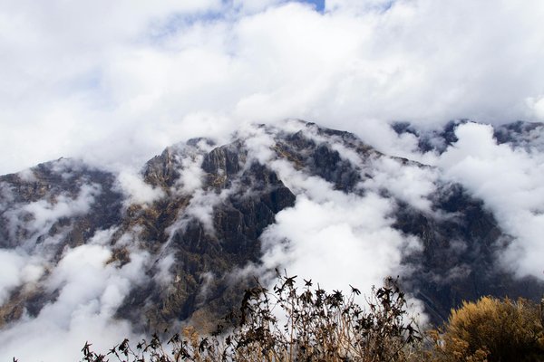 Discover Scotland's Coastal Treasures: Top Summer Spots for Puffin Photography!