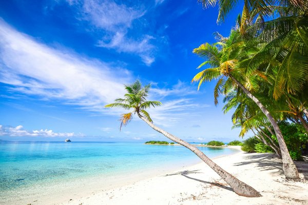 Embark on UK Cruises with Magical Victorian Steam Train Adventures